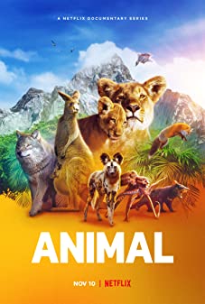 Animal Season 1 (2021) สัตว์มหัศจรรย์