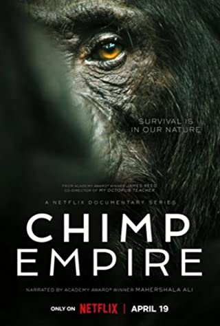 Chimp Empire Season 1 (2023) อาณาจักรชิมแปนซี